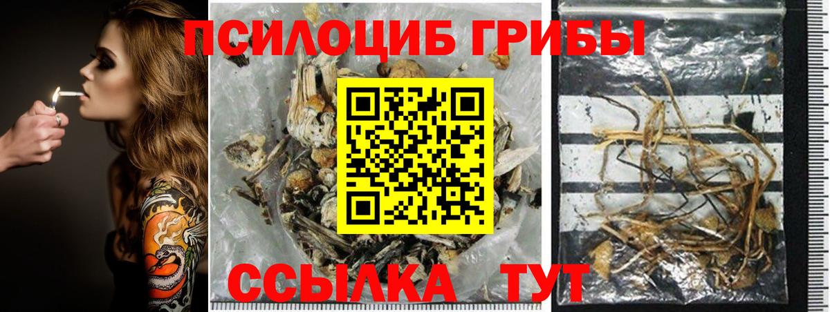 Кинешма  Псилоцибиновые грибы ЛСД  где купить   Вход с VPN  Псилоцибиновые грибы Magic Shrooms 